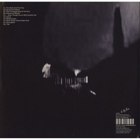 Trentemoller - Into The Great Wide Yonder (4250382403272) виниловая пластинка - фото 6