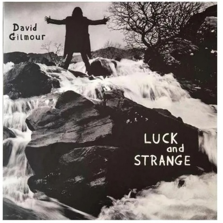 

David Gilmour - Luck And Strange (0198028046114) виниловая пластинка хорошее состояние