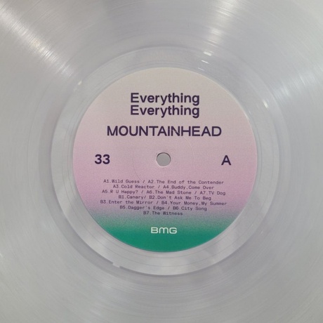 Everything Everything - Mountainhead (coloured) (4050538996104) виниловая пластинка - фото 6