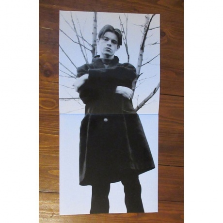 Felt - The Pictorial Jackson Review (5013929078710) виниловая пластинка - фото 5