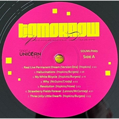 Tomorrow - Permanent Dream (5060854800541) виниловая пластинка - фото 7