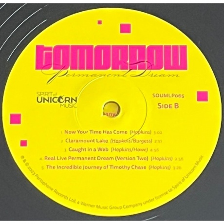 Tomorrow - Permanent Dream (5060854800541) виниловая пластинка - фото 8