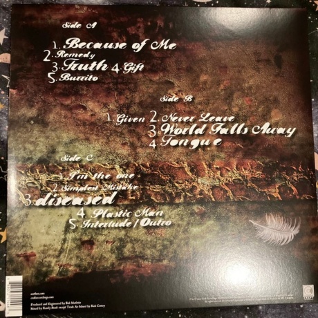 Seether - Karma And Effect (coloured) (0888072114463) виниловая пластинка - фото 2