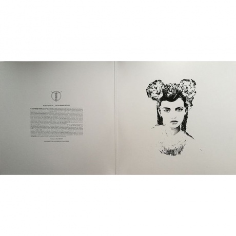 Parov Stelar - The Burning Spider (8086996672003) виниловая пластинка - фото 2