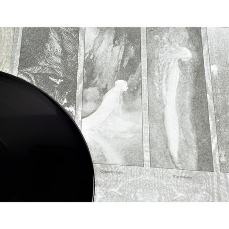 Paysage D'Hiver - Die Festung (0884388608375) виниловая пластинка - фото 3