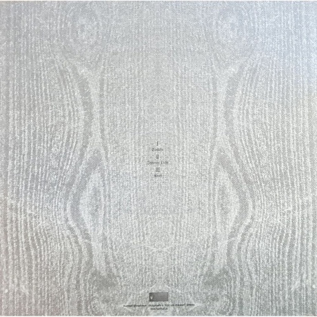 Paysage D'Hiver - Einsamkeit (0884388608351) виниловая пластинка - фото 2