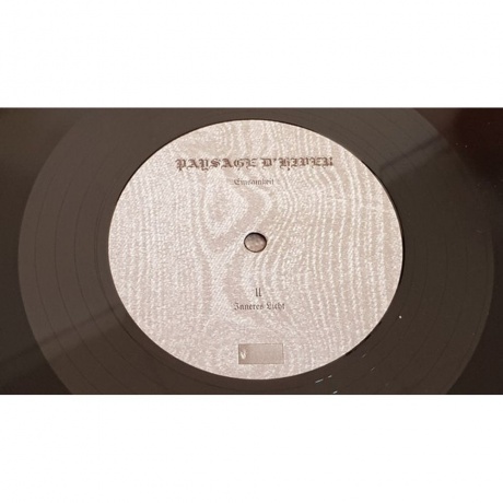 Paysage D'Hiver - Einsamkeit (0884388608351) виниловая пластинка - фото 6