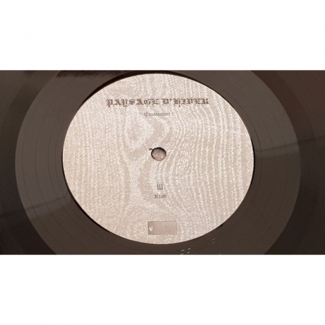 Paysage D'Hiver - Einsamkeit (0884388608351) виниловая пластинка - фото 7