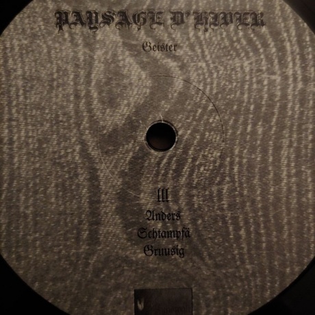 Paysage D'Hiver - Geister (0884388609839) виниловая пластинка - фото 7