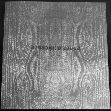 Paysage D'Hiver - Im Traum (EP) (V10) (0884388609723) виниловая пластинка - фото 2