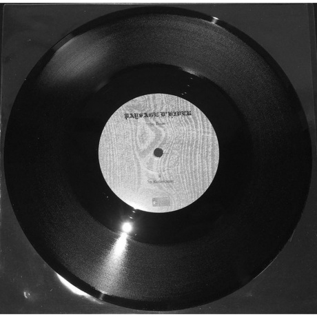 Paysage D'Hiver - Im Traum (EP) (V10) (0884388609723) виниловая пластинка - фото 5