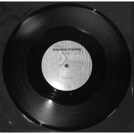 Paysage D'Hiver - Im Traum (EP) (V10) (0884388609723) виниловая пластинка - фото 6