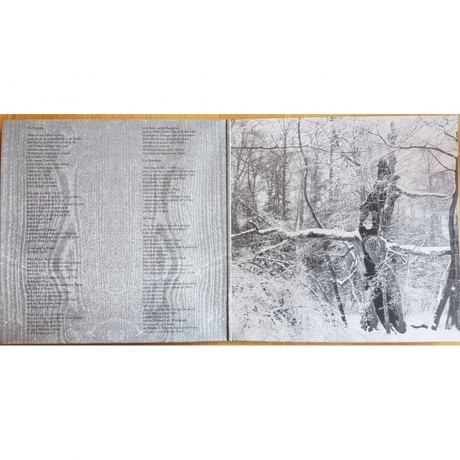 Paysage D'Hiver - Steineiche (0884388608337) виниловая пластинка - фото 3