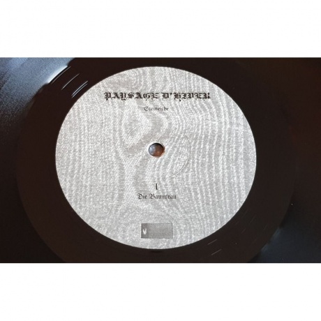 Paysage D'Hiver - Steineiche (0884388608337) виниловая пластинка - фото 5
