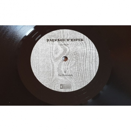 Paysage D'Hiver - Steineiche (0884388608337) виниловая пластинка - фото 6