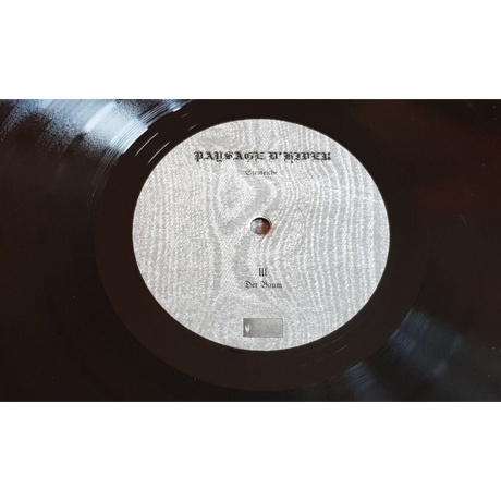 Paysage D'Hiver - Steineiche (0884388608337) виниловая пластинка - фото 7