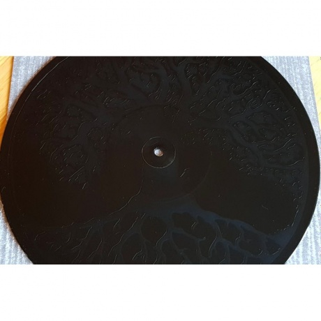 Paysage D'Hiver - Steineiche (0884388608337) виниловая пластинка - фото 8