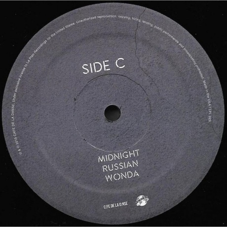 Caravan Palace - Robot Face (3760244440013) виниловая пластинка - фото 4