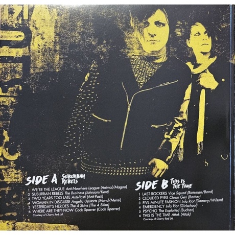 Various Artists - Street Punk (coloured) (7798093713015) виниловая пластинка - фото 12