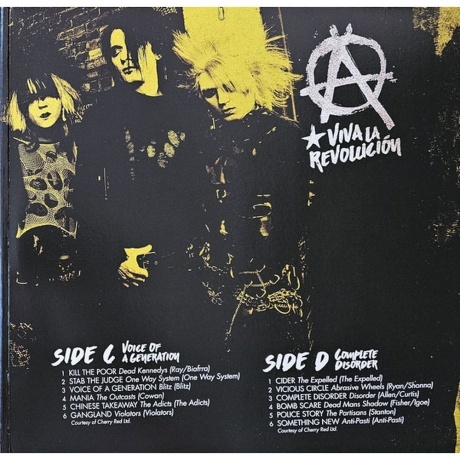 Various Artists - Street Punk (coloured) (7798093713015) виниловая пластинка - фото 13