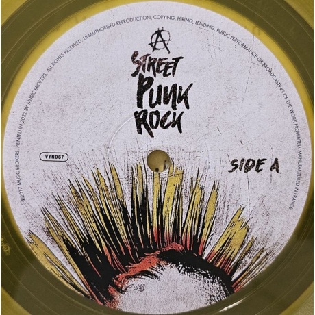 Various Artists - Street Punk (coloured) (7798093713015) виниловая пластинка - фото 8