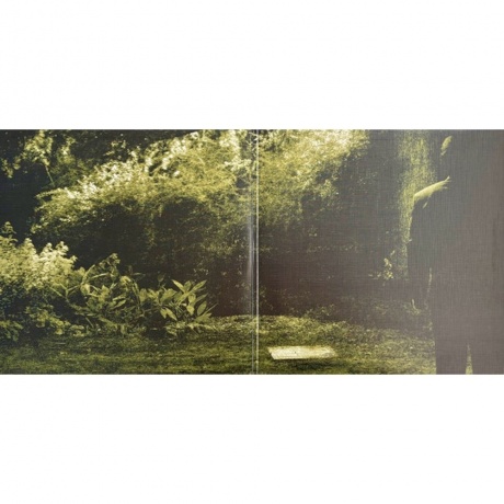 Opeth - Watershed (coloured) (8719262039179) виниловая пластинка - фото 2