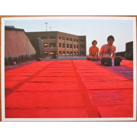 Animal Collective - Hollindagain (0855230006144) виниловая пластинка - фото 5