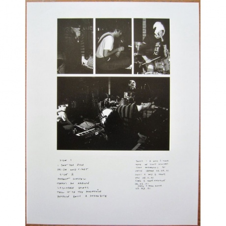 Animal Collective - Hollindagain (0855230006144) виниловая пластинка - фото 6