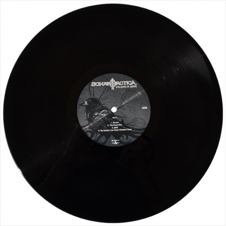 Sonata Arctica - The Days Of Grays (0727361237912) виниловая пластинка - фото 4