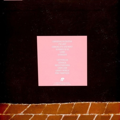 Duster - Duster (coloured) (0825764130233) виниловая пластинка - фото 2