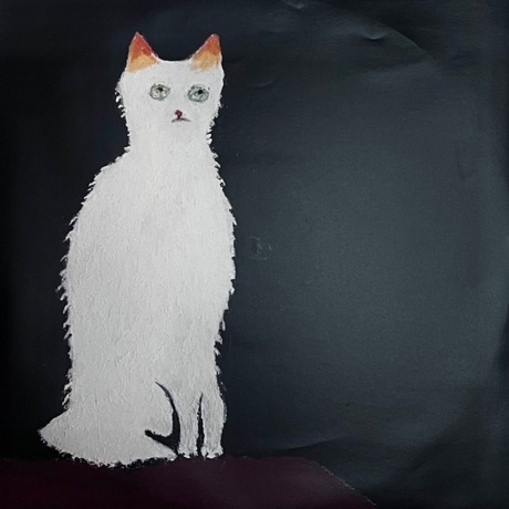 Duster - Duster (coloured) (0825764130233) виниловая пластинка - фото 4