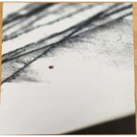 Dot Hacker - Inhibition (0093624952107) виниловая пластинка - фото 4