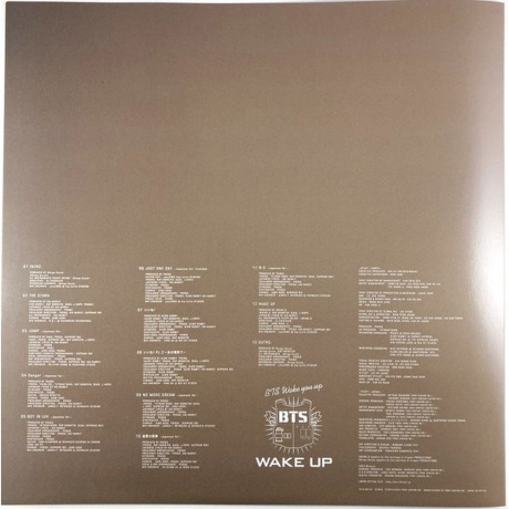 BTS - Wake Up (coloured) (4524135188595) виниловая пластинка - фото 15