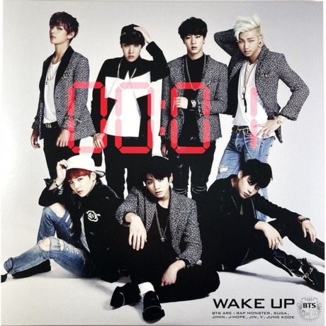 BTS - Wake Up (coloured) (4524135188595) виниловая пластинка - фото 4