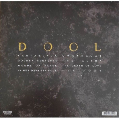 Dool - Here Now, There Then (Gold) (0884388872158) виниловая пластинка - фото 2