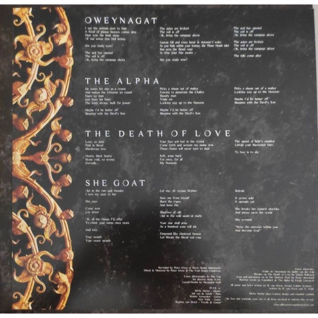 Dool - Here Now, There Then (Gold) (0884388872158) виниловая пластинка - фото 3