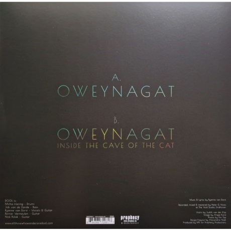 Dool - Oweynagat (V12) (0884388720817) виниловая пластинка - фото 2