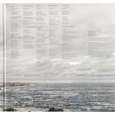 Dool - The Shape Of Fluidity (coloured) (0884388889101) виниловая пластинка - фото 6