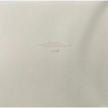 Sol Invictus - In The Rain (coloured) (0884388871472) виниловая пластинка - фото 2