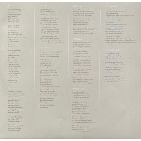 Sol Invictus - In The Rain (coloured) (0884388871472) виниловая пластинка - фото 8