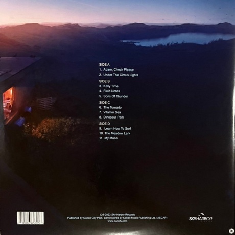 Owl City - Coco Moon (0810096653253) виниловая пластинка - фото 2