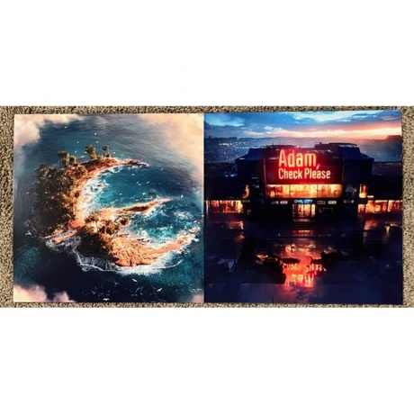 Owl City - Coco Moon (0810096653253) виниловая пластинка - фото 3