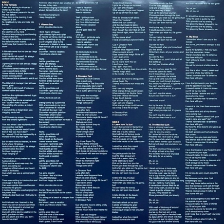 Owl City - Coco Moon (0810096653253) виниловая пластинка - фото 6