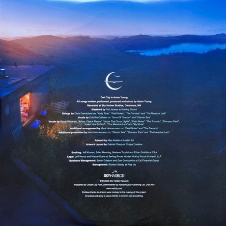 Owl City - Coco Moon (0810096653253) виниловая пластинка - фото 7