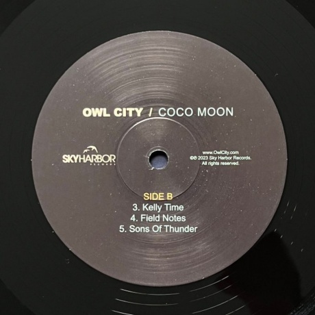 Owl City - Coco Moon (0810096653253) виниловая пластинка - фото 9