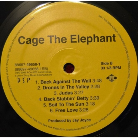 Cage The Elephant - Cage The Elephant (0886974965817) виниловая пластинка - фото 5
