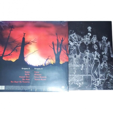 Сектор газа - Зловещие мертвецы (coloured) (4660275071233) виниловая пластинка - фото 3