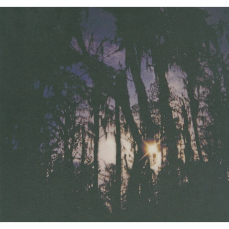 Beach House - Bloom (0098787096514) виниловая пластинка - фото 8