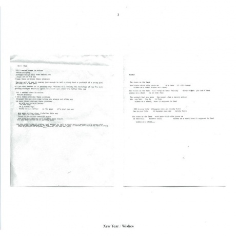 Beach House - Bloom (0098787096514) виниловая пластинка - фото 10