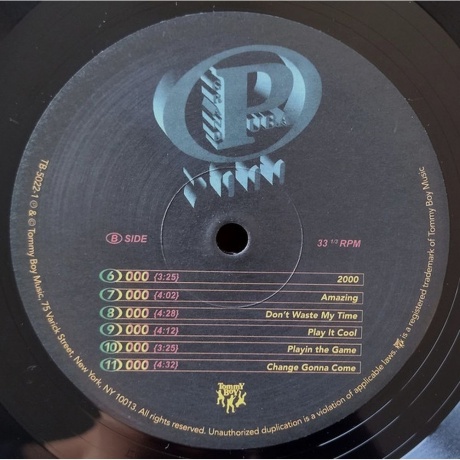 Grand Puba - 2000 (0016998502211) виниловая пластинка - фото 6